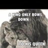 Boderick Butler's profile picture