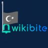 wikibite 的头像