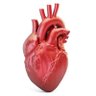 Dr Love You's profile picture