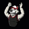Storm Surge Sports Cards's profile picture