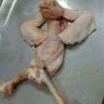 eltao_21's profile picture