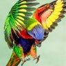 Фото профиля علاء حافظ