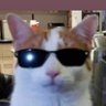 gatocongafas profil fotoğrafı