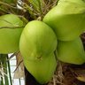 Фото профиля GundulGundul