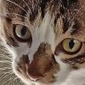 Фото профиля 黒いむがーるさん