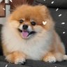 Elias's profile picture