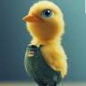 Kenny Fikoty's profile picture