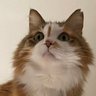 Profilbild von T Ｄ