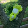 Profilbild von ぴくるす