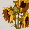 vanadium's profile picture