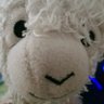 Profilbild von ioana
