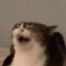 PSIA's profile picture