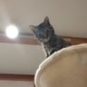 Фото профиля hito