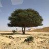 Profilbild von راعي خبره