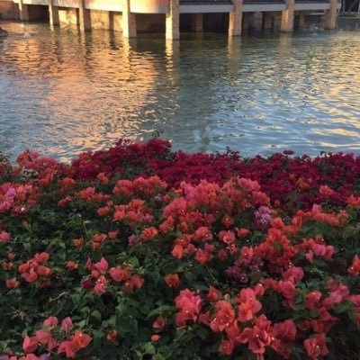 m4ilboq's profile picture