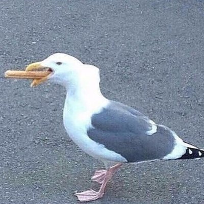 【=◈︿◈=】's profile picture