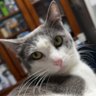 Nicky555A110S profil fotoğrafı