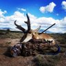 FriedBackstrap's profile picture