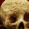 Hominis est errare 的头像