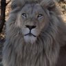 Stews News's profile picture