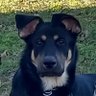 Profilbild von Faylee Snyder
