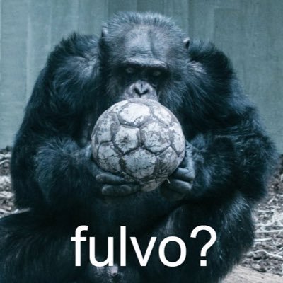 DrFulvo's profile picture