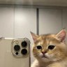 Profilbild von Joshsme