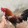 R15 profil fotoğrafı