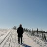 Hans im Glück's profile picture