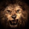 Leonel H. Rodas's profile picture