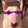 Profilbild von oro