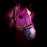 Kazynski's profile picture