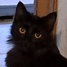 manue lita profil fotoğrafı