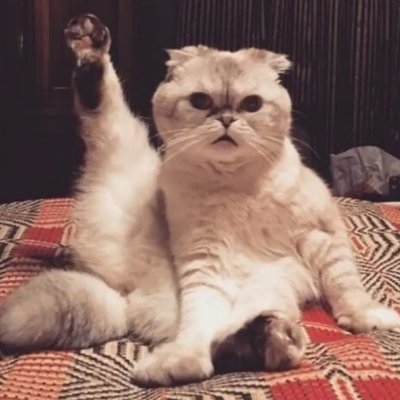 taylor's profile picture