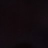 BIANCA's profile picture