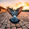 البراء profil fotoğrafı