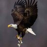 Chidimma Ijeuwa2022's profile picture