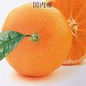みかん🍊の缶詰 profil fotoğrafı