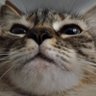 Profilbild von TBA (Adm. de Tamburete de Dados)