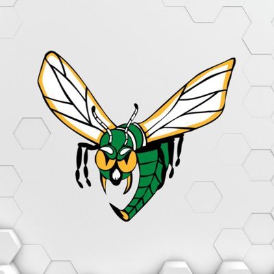 Edina Hornets's profile picture