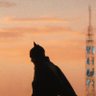 Batman 的头像
