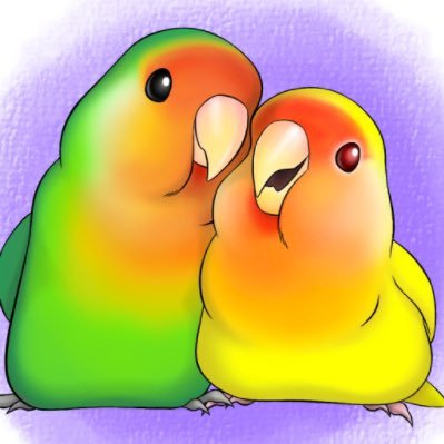 hornet_hikaru_s's profile picture