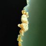 Фото профиля BH 10 8
