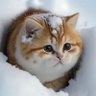 Vladislav's profile picture