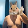 Racher Tran's profile picture