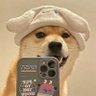 无名小狗🐕 profil fotoğrafı