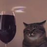 toby fox acolyte's profile picture