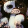 Yoda 的头像