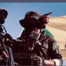 ابن الكتائب's profile picture