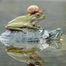 floatingaround 的头像